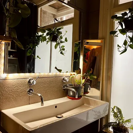 In Unique Artsy House With Sport + Coworking Amsterdam
