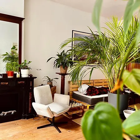 In Unique Artsy House With Sport + Coworking Amsterdam